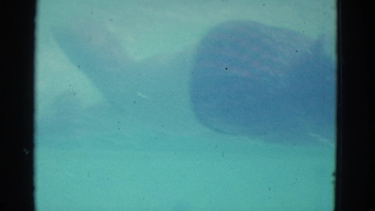 1953 Yonkers pool footage showing a submerged swimmer blurred by turquoise water and 8mm film texture.