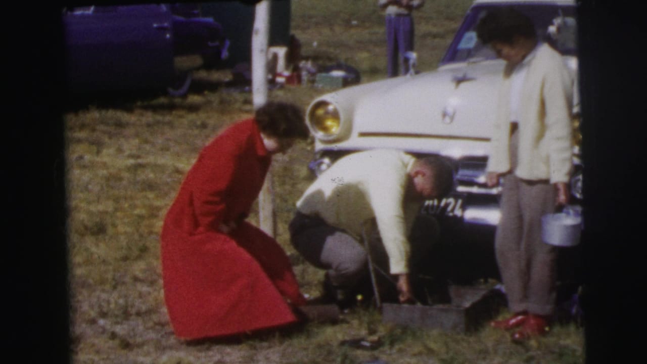 Woman in red coat and two men bend near a metal box beside a white car on grass.