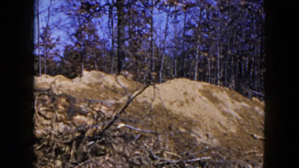 1954 Hicksville, New York view of disturbed earth, exposed roots, and a wooded background under a blue sky.