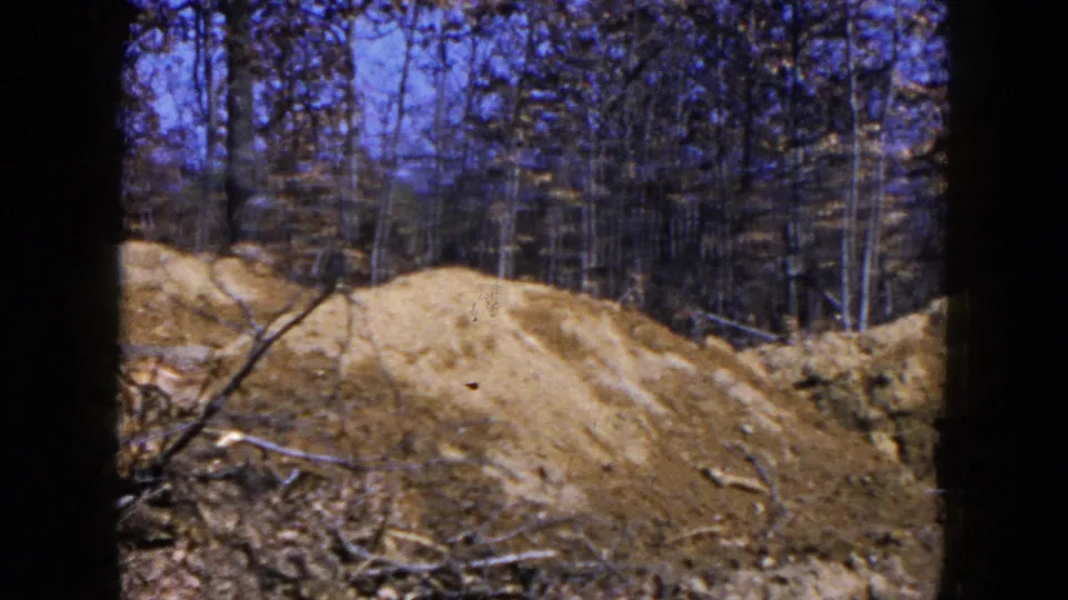 1954 Hicksville, New York 8mm frame with a low earth ridge, scattered branches, leaf litter, and bare woodland.