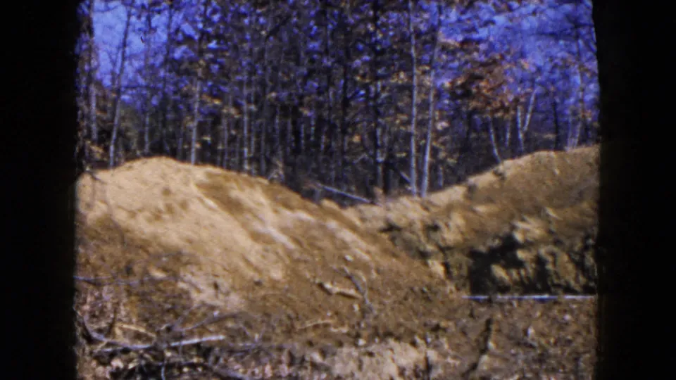 1954 Hicksville, New York frame showing a rounded mound of earth, exposed ground, fallen branches, and surrounding trees.