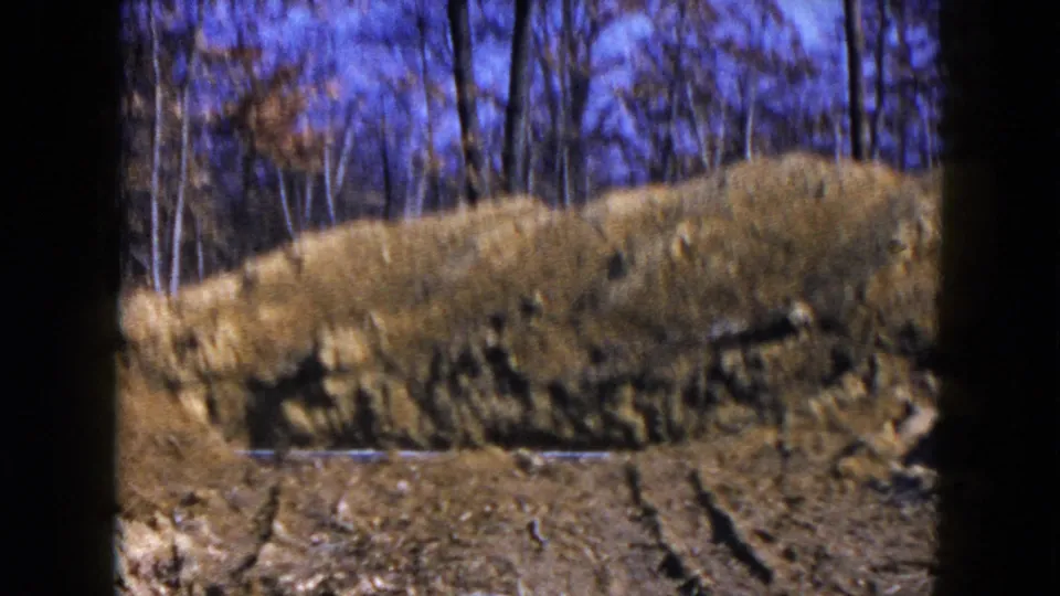 Soft 8mm frame from Hicksville in 1954 showing a sloped mound of disturbed soil, tire ruts, and leafless trees behind it.