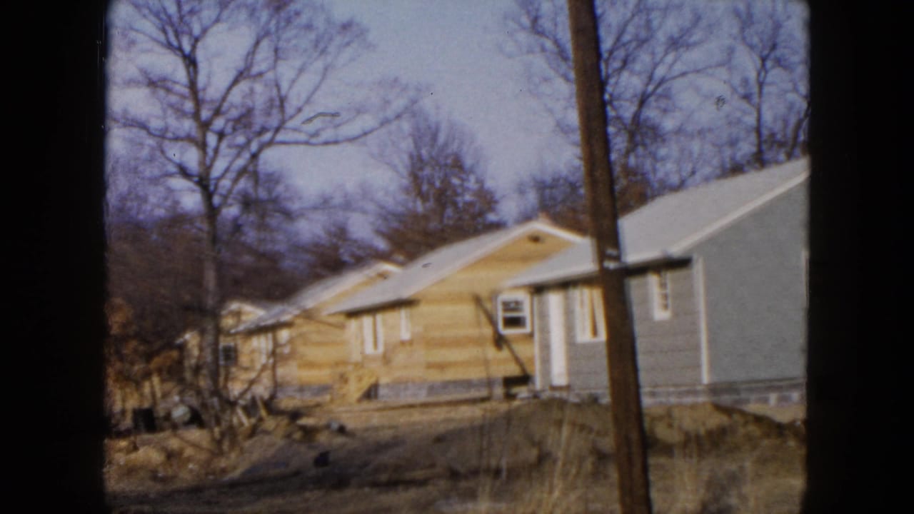 Yellow and blue houses beside bare trees and a utility pole in an unfinished yard.