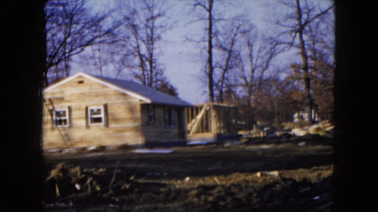 Unfinished wooden house beside bare trees with exposed framing visible at one side.