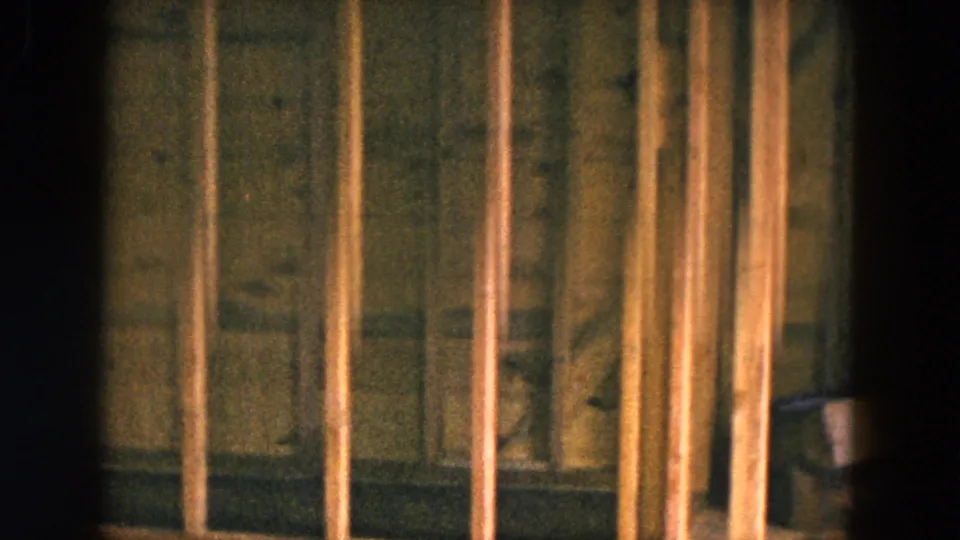 Close interior view of unfinished residential framing, with repeated wood studs, rough sheathing, and warm 8mm exposure from the 1954 Hicksville footage.