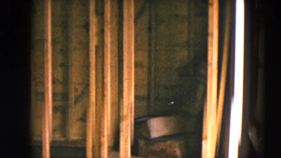 Final frame shows an unfinished Hicksville house interior with vertical studs, bright side window light, rough sheathing, and a small wooden bench or box.