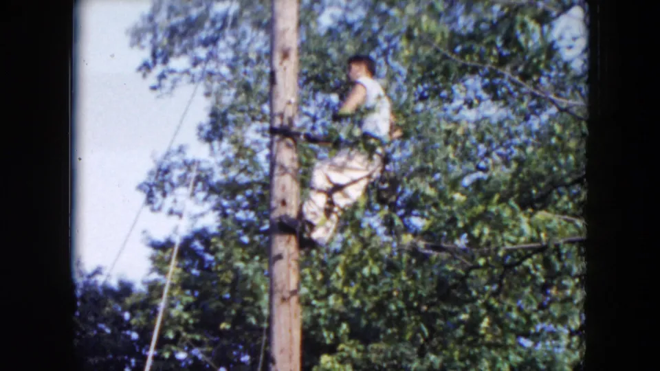 1954 Hicksville frame showing a man in light clothing working high on a wooden telephone pole with wires and leafy trees around him.
