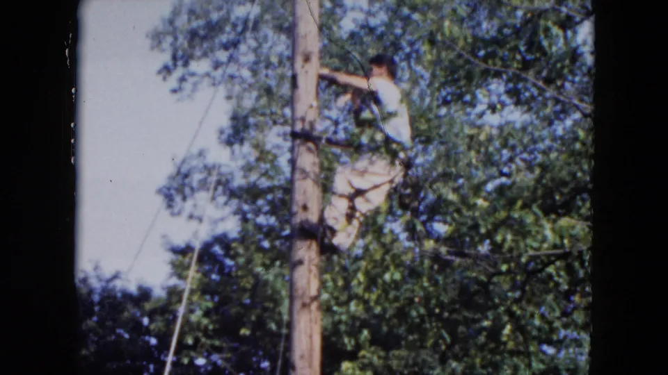 1954 Hicksville frame showing the worker braced on the telephone pole, reaching outward near overhead wires against leafy trees.