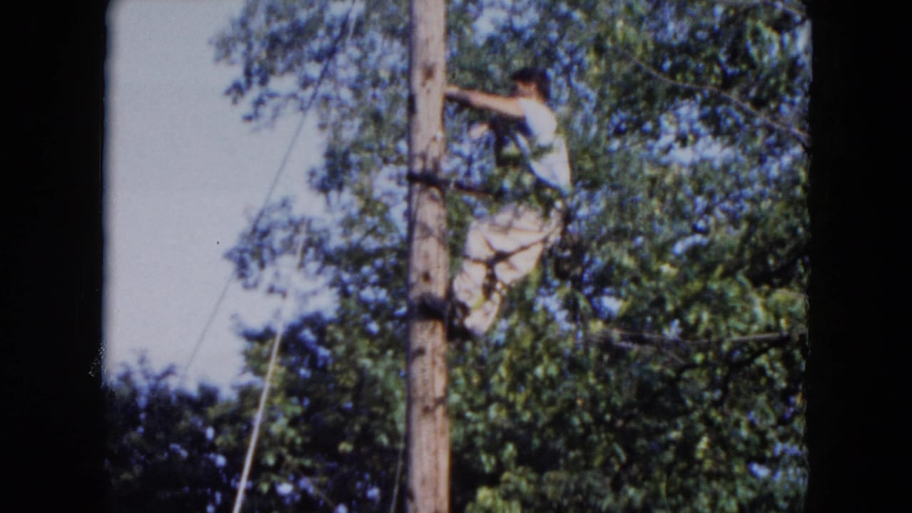 Man standing near or on a utility pole beside leafy trees in an outdoor yard.