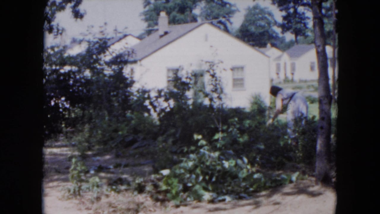 1954 Hicksville home-movie frame showing a woman tending garden plants near a white suburban house under trees.