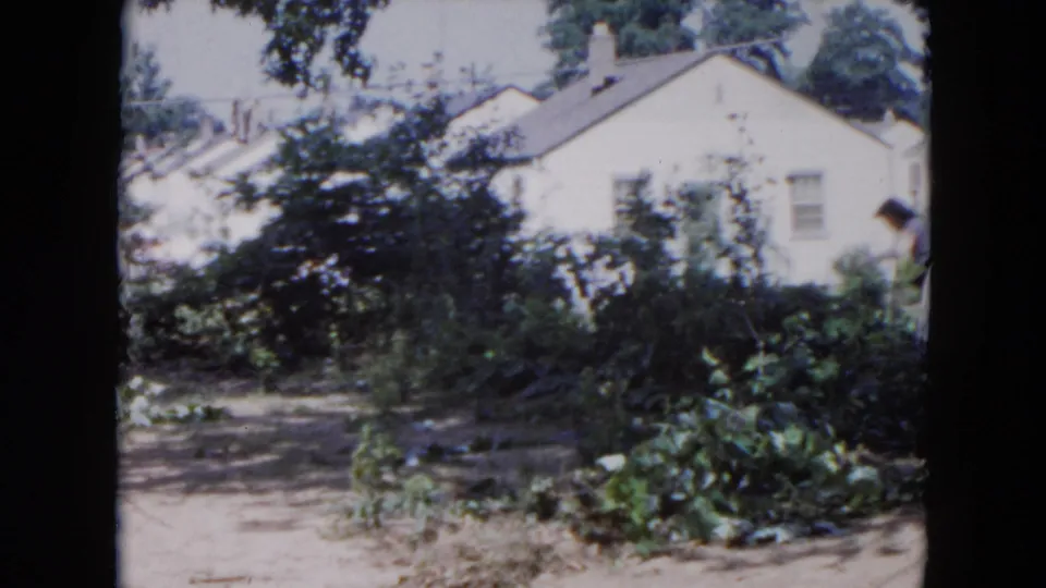 1954 Hicksville yard view with dense shrubs, a white house, trees, and a woman partially visible near the frame edge.