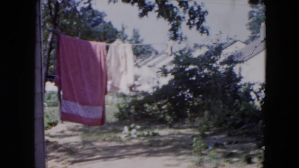 1954 Hicksville yard frame with a pink towel and pale laundry on a clothesline before shrubs and a white house.