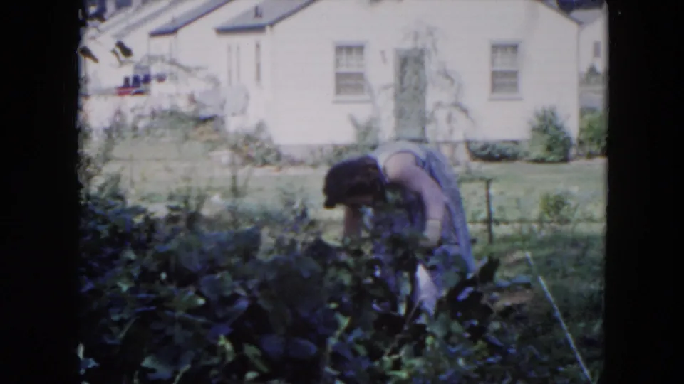 Adult woman continues pulling or tending plants in the Hicksville yard, partly hidden by foliage with the house behind her.