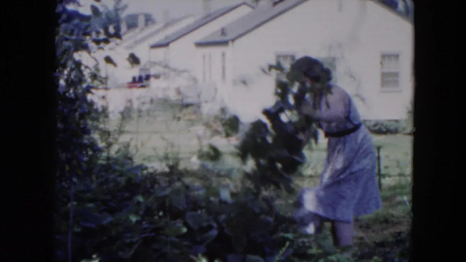The woman leans into a cluster of leafy branches in a Hicksville backyard, with the residential house and lawn visible behind her.