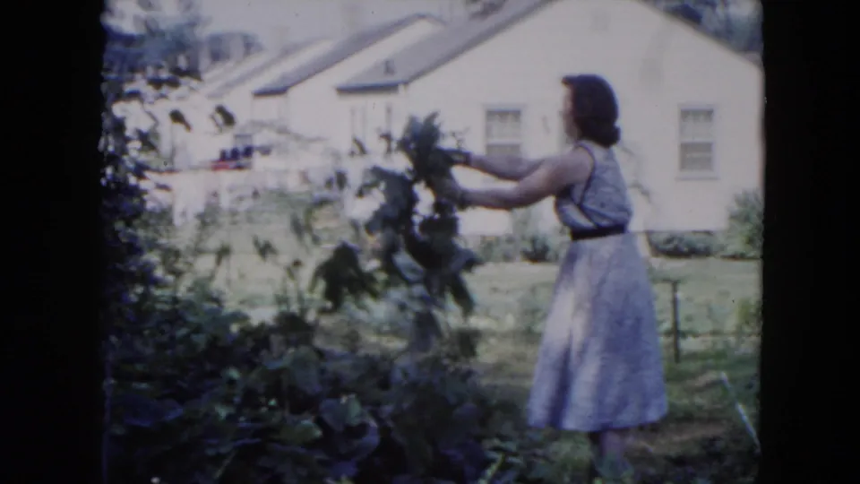 A woman in a light dress holds a large mass of leaves or branches while tending the yard in Hicksville, New York.