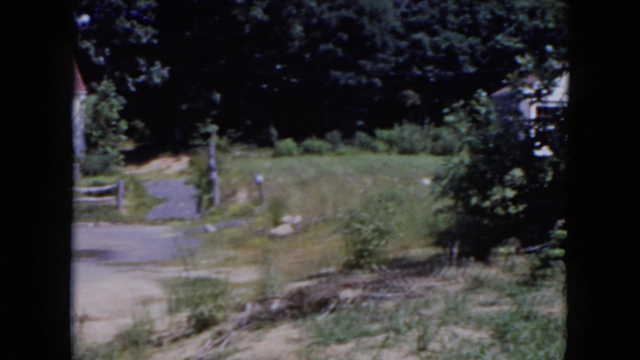 Grassy yard with trees, shrubs, a path, and a partially obscured house in the background.