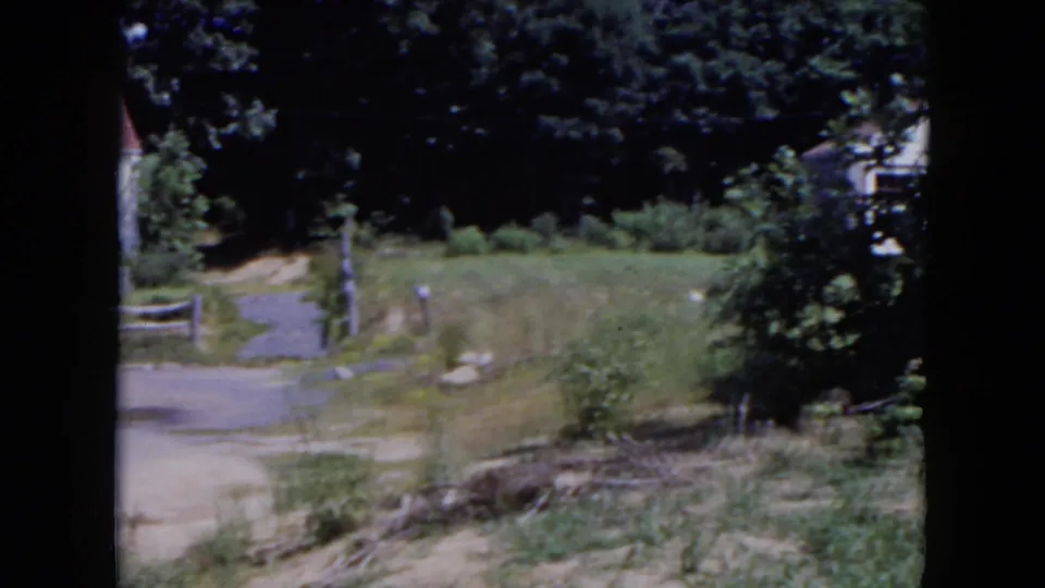 1954 Hicksville 8mm frame showing a grassy suburban yard, dense trees, shrubs, and a light-colored house partly hidden by foliage.