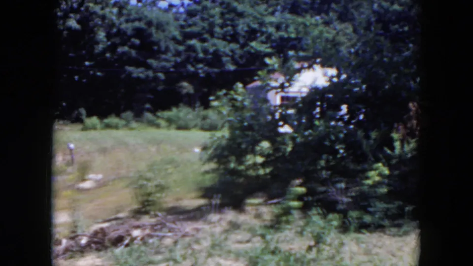 1954 Hicksville home-movie frame with lawn, shrubs, tree cover, and a pale house partly screened by branches.