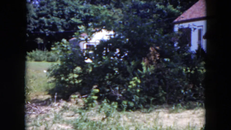 1954 Hicksville frame showing overgrown shrubs, dry grass, trees, and a light house with a red roof in the background.
