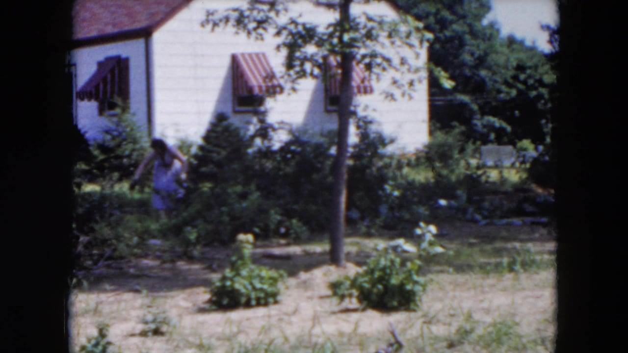 1954 Hicksville backyard view with a female figure near shrubs, a white house, striped awnings, and sunlit garden beds.