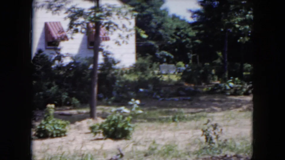 1954 Hicksville suburban backyard with a white house, red-striped awnings, shrubs, trees, and sparse grass in bright sun.