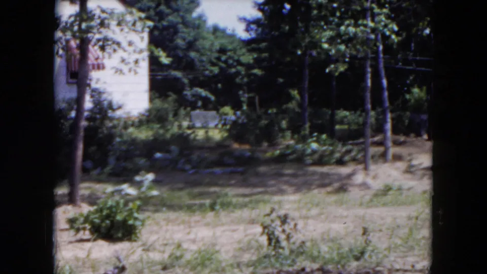 A 1954 Hicksville backyard view shows the side of a white house, garden beds, shrubs, trees, and open yard space.