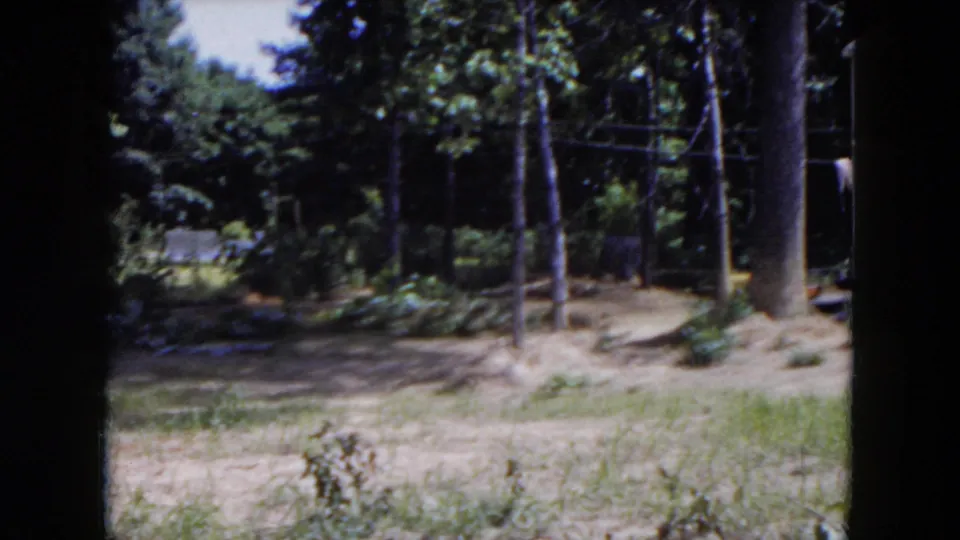 The closing 1954 Hicksville frame shows trees, shrubs, garden beds, open ground, and a partial yard structure at right.