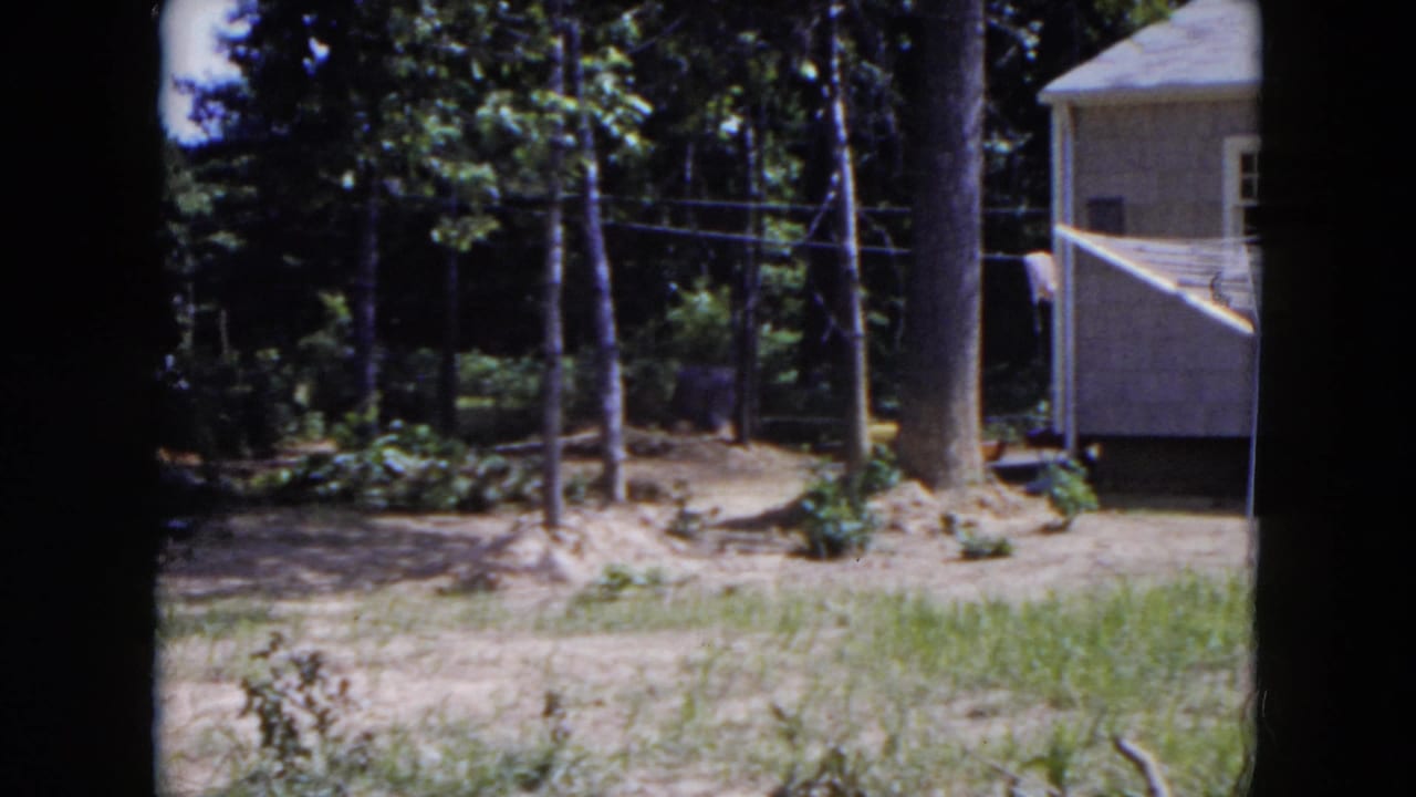 Small house partially visible beyond grass, trees, dirt yard, and overhead utility wires.