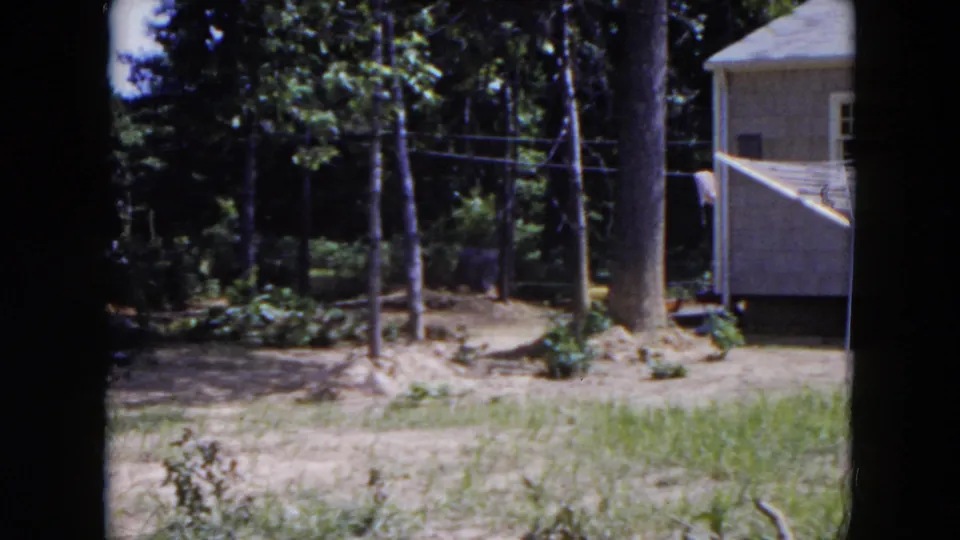 1954 Hicksville home-movie frame showing a modest house partly framed by trees, patchy grass, bare ground, and overhead wires.
