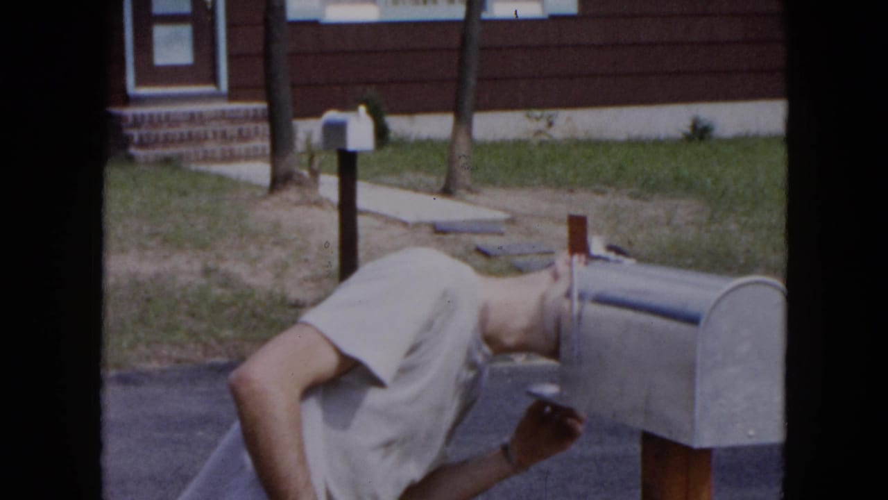 In Hicksville, New York, a man in a light T-shirt bends toward a gray curbside mailbox outside a suburban residence.