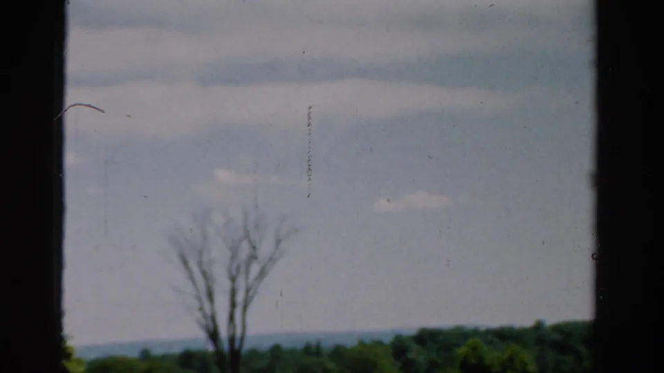 1954 California camp-area landscape showing a bare tree against distant hills and a pale cloudy sky.