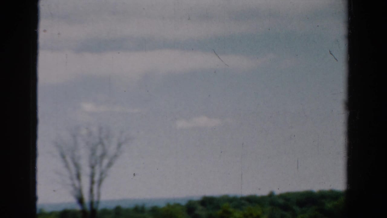 Dark window frame silhouetted against a pale sky, distant treeline, and a leafless tree.