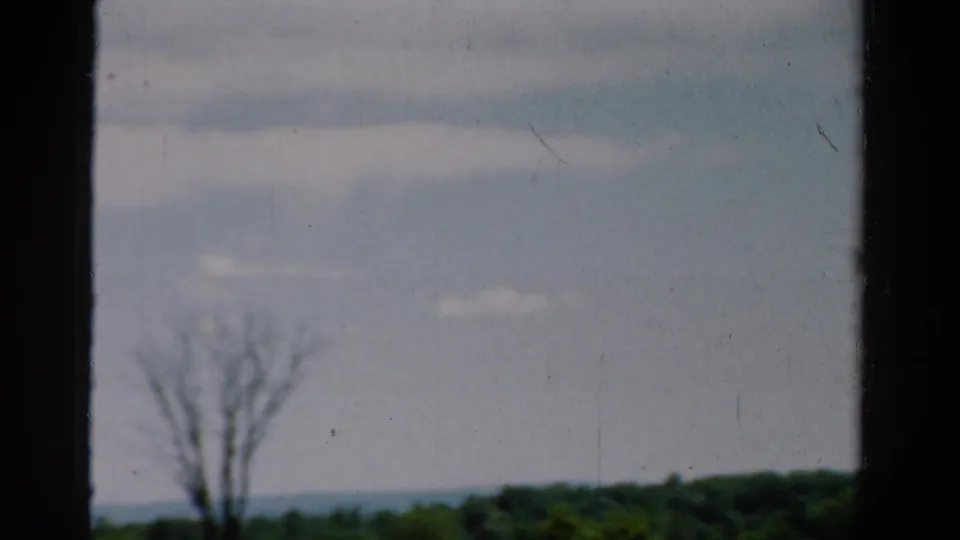 1954 California 8mm frame showing a dark window edge, cloudy sky, distant wooded horizon, and a bare tree in silhouette.