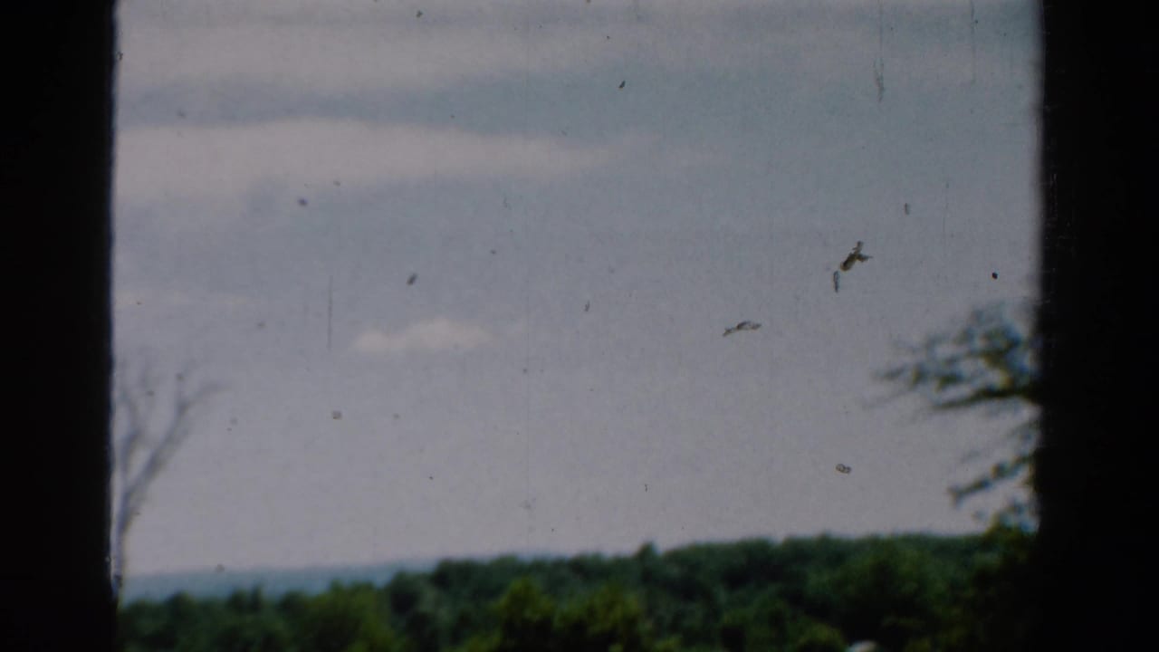 Central dark window bar divides a cloudy sky above a distant green treeline.