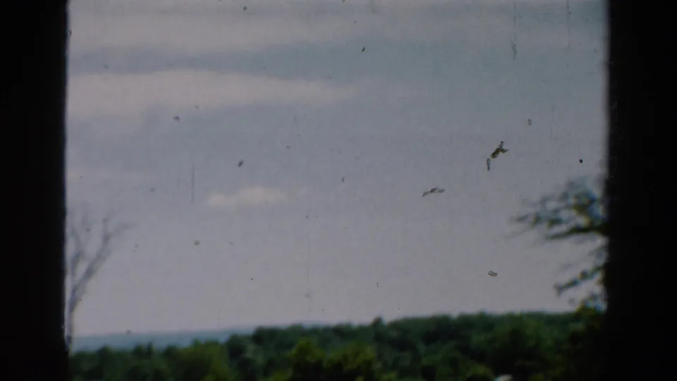 1954 California 8mm frame with a heavy vertical window bar, muted sky, distant horizon, and dark tree line.