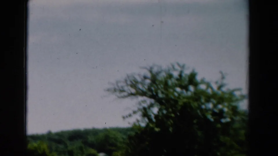 1954 California 8mm frame with foreground leafy branches, a low wooded horizon, cloudy sky, and dark film edges.