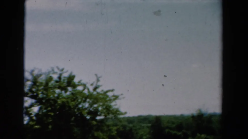 1954 California 8mm frame with low foreground foliage, distant forest, pale sky, and visible film wear.