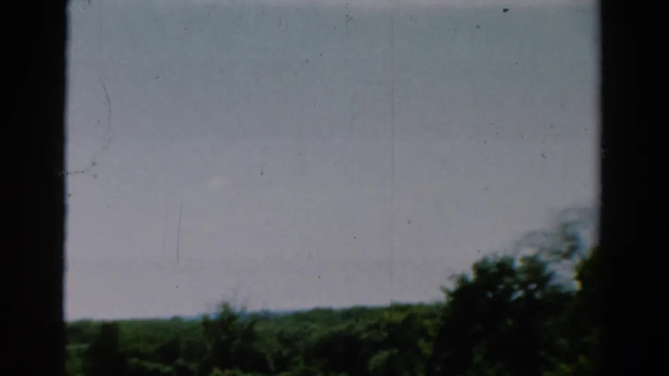 Soft 1954 California home-movie view of overcast sky and treetops divided by dark window or doorway framing.