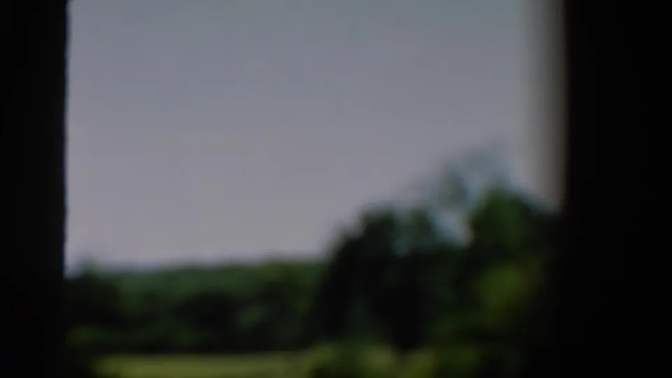 Out-of-focus 8mm frame from 1954 California with green foliage, low treeline, and pale sky seen through a dark frame.