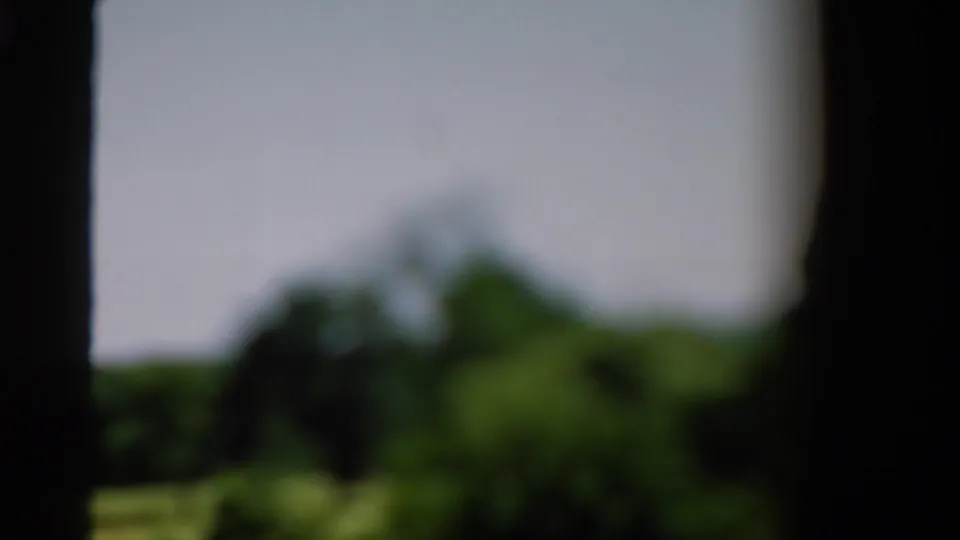 1954 California 8mm still with heavily softened trees, grass, and pale sky partially blocked by dark vertical framing.