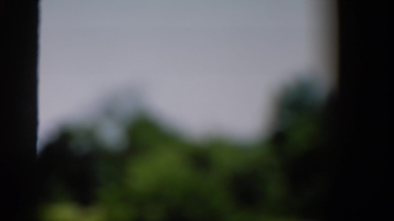 Soft-focus 1954 California home-movie frame looking through a dark window toward trees and pale sky.