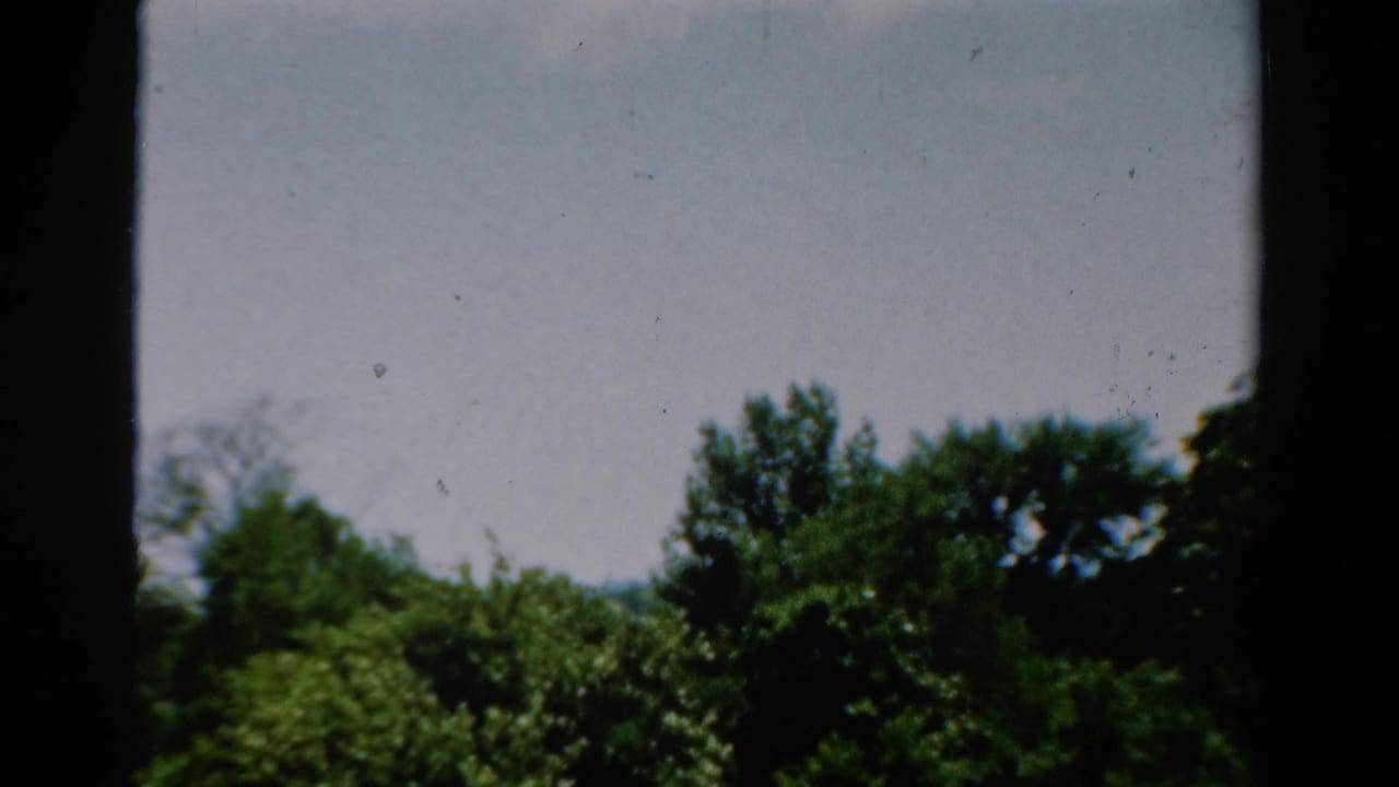 A 1954 California window view shows treetops under a pale sky, partly divided by a dark frame.