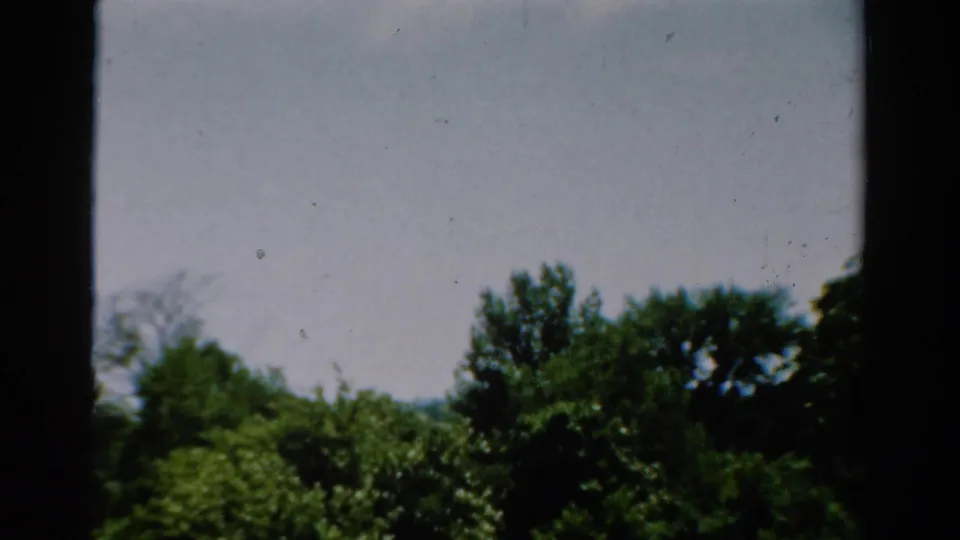 A 1954 California window view shows treetops under a pale sky, partly divided by a dark frame.