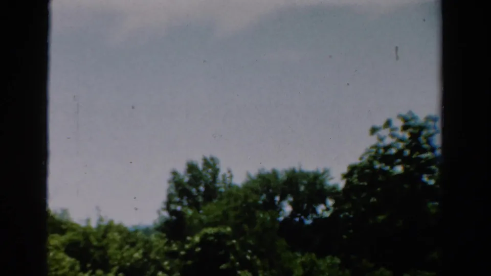 Mid-century 8mm footage shows California treetops and pale sky from an interior window vantage.