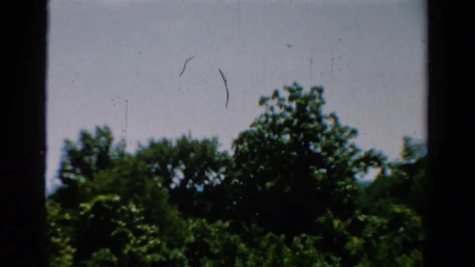 The 1954 California home-movie view settles on sharper treetops and sky behind dark window divisions.