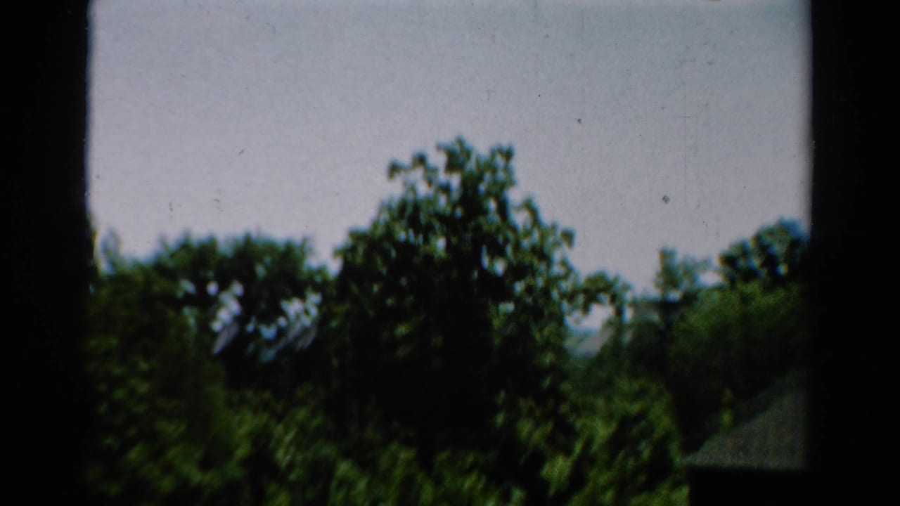 Trees and pale sky seen through dark window framing.