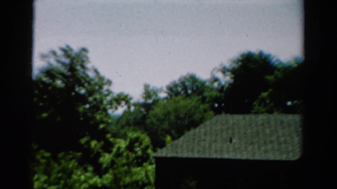 1954 California home-movie view of trees and part of a shingled roof seen beyond dark window framing.