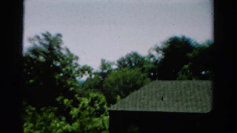 1954 California home-movie view of trees and part of a shingled roof seen beyond dark window framing.