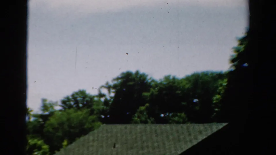1954 California residential view with a greenish shingled roof below dense trees, partly obscured by dark window framing.