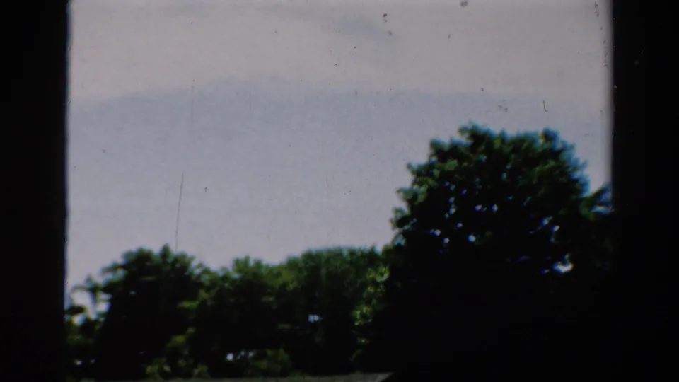 1954 California home-movie frame with a dark tree mass, pale sky, and a low roof edge in a leafy residential setting.